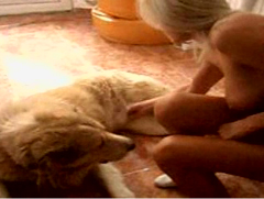 Getting the dog ready